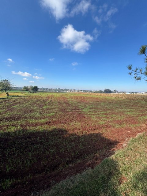 Área Rural 27.000 m² (1,116 Alqueires) - Linha Peróba