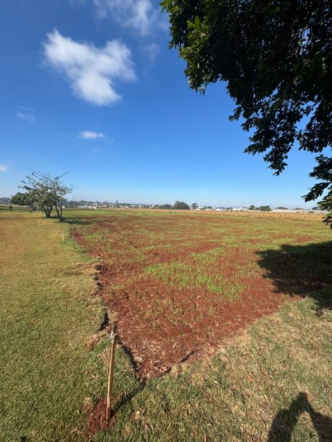 Área Rural 27.000 m² (1,116 Alqueires) - Linha Peróba