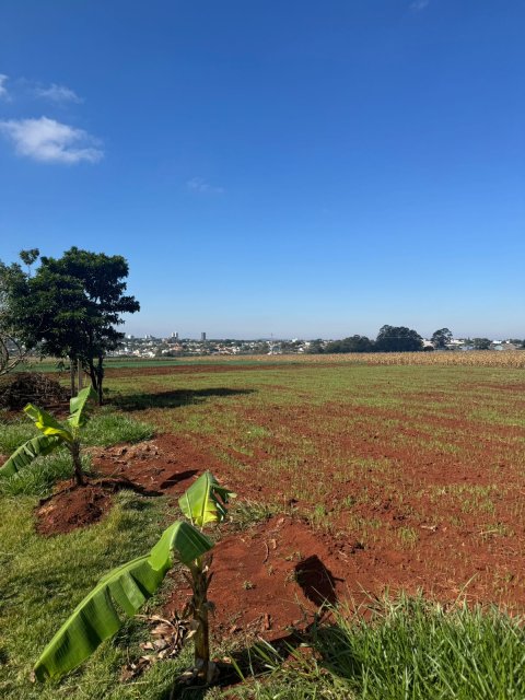 Área Rural 27.000 m² (1,116 Alqueires) - Linha Peróba
