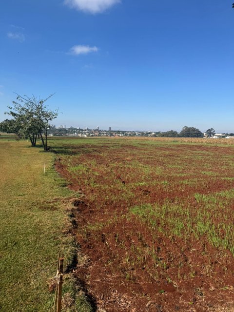 Área Rural 27.000 m² (1,116 Alqueires) - Linha Peróba