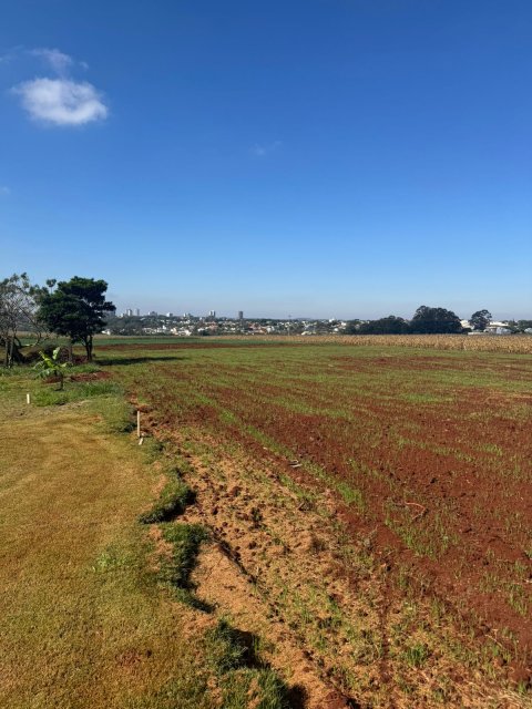 Área Rural 27.000 m² (1,116 Alqueires) - Linha Peróba