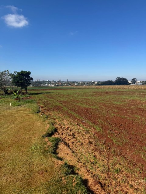 Área Rural 27.000 m² (1,116 Alqueires) - Linha Peróba