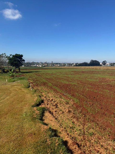 Área Rural 27.000 m² (1,116 Alqueires) - Linha Peróba