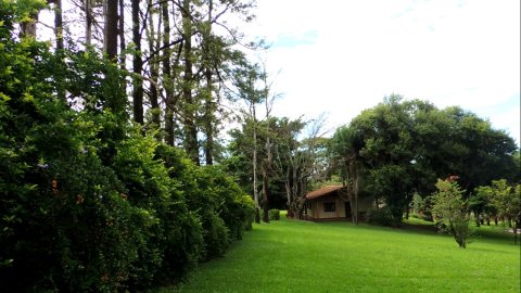 Área Rural 47.450 m² (1,961 Alqueires) - 950 mts. da Rodovia BR-163