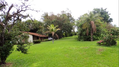Área Rural 47.450 m² (1,961 Alqueires) - 950 mts. da Rodovia BR-163