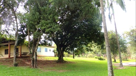 Área Rural 47.450 m² (1,961 Alqueires) - 950 mts. da Rodovia BR-163
