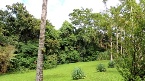 Área Rural 47.450 m² (1,961 Alqueires) - 950 mts. da Rodovia BR-163