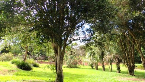 Área Rural 47.450 m² (1,961 Alqueires) - 950 mts. da Rodovia BR-163
