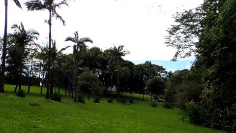Área Rural 47.450 m² (1,961 Alqueires) - 950 mts. da Rodovia BR-163