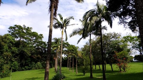 Área Rural 47.450 m² (1,961 Alqueires) - 950 mts. da Rodovia BR-163