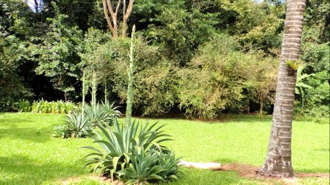 Área Rural 47.450 m² (1,961 Alqueires) - 950 mts. da Rodovia BR-163