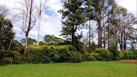 Área Rural 47.450 m² (1,961 Alqueires) - 950 mts. da Rodovia BR-163
