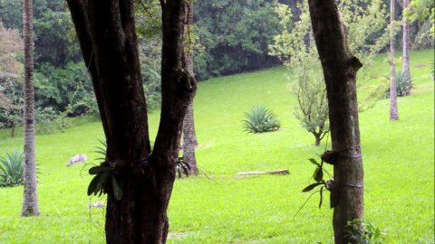Área Rural 47.450 m² (1,961 Alqueires) - 950 mts. da Rodovia BR-163