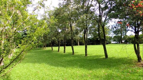 Área Rural 47.450 m² (1,961 Alqueires) - 950 mts. da Rodovia BR-163