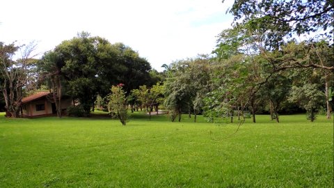 Área Rural 47.450 m² (1,961 Alqueires) - 950 mts. da Rodovia BR-163