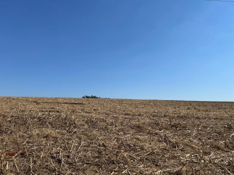 Área Rural 22.306 m² (0,922 Alqueires) - Linha Adams
