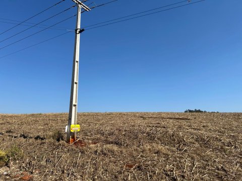 Área Rural 22.306 m² (0,922 Alqueires) - Linha Adams