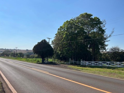 Área Rural 22.306 m² (0,922 Alqueires) - Linha Adams