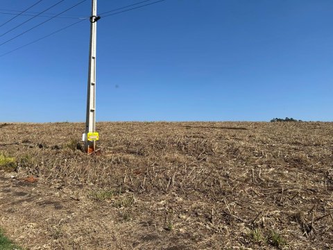 Área Rural 22.306 m² (0,922 Alqueires) - Linha Adams