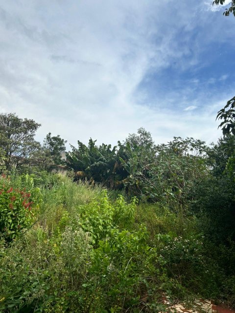 Terreno 800 m² - Centro