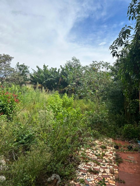 Terreno 800 m² - Centro