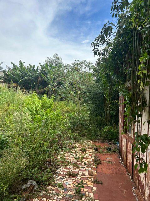 Terreno 800 m² - Centro