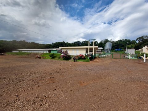 Área Rural/Granja Suínos Crechário 20.700 m² - Quatro Pontes