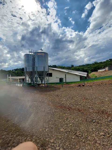 Área Rural/Granja Suínos Crechário 20.700 m² - Quatro Pontes