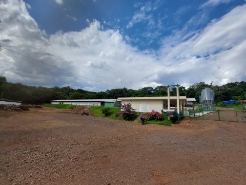 Área Rural/Granja Suínos Crechário 20.700 m² - Quatro Pontes