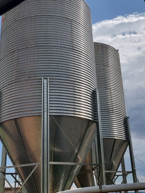 Área Rural/Granja Suínos Crechário 20.700 m² - Quatro Pontes