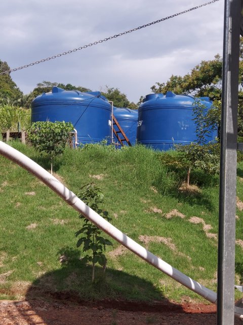 Área Rural/Granja Suínos Crechário 20.700 m² - Quatro Pontes