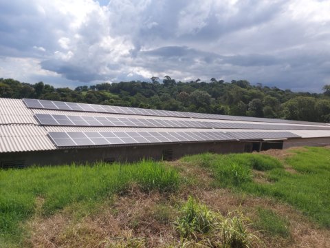 Área Rural/Granja Suínos Crechário 20.700 m² - Quatro Pontes