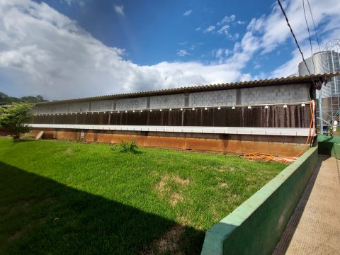 Área Rural/Granja Suínos Crechário 20.700 m² - Quatro Pontes