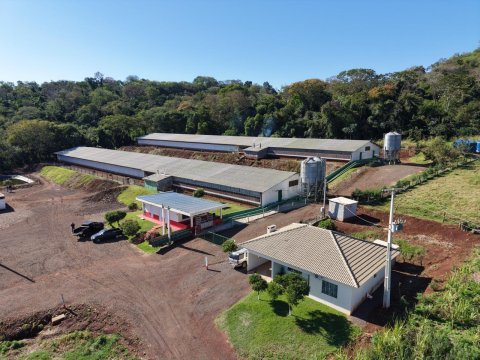 Área Rural/Granja Suínos Crechário 20.700 m² - Quatro Pontes