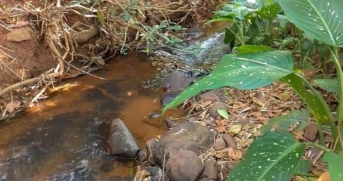 Área de Terra à Venda em Marechal Cândido Rondon