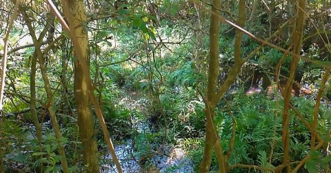 Área de Terra à Venda em Marechal Cândido Rondon