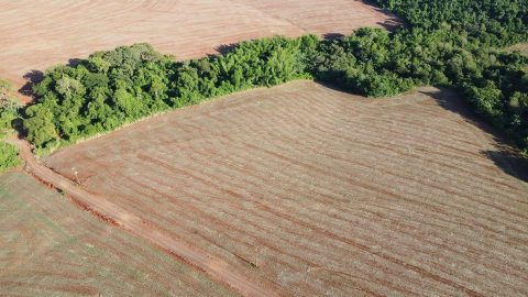 Área de Terra à Venda em Marechal Cândido Rondon