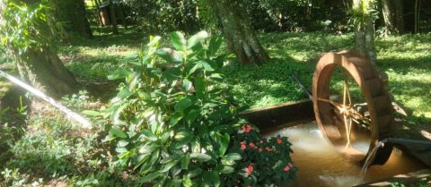 Área de Terra Linha Agua Verde Quatro Pontes