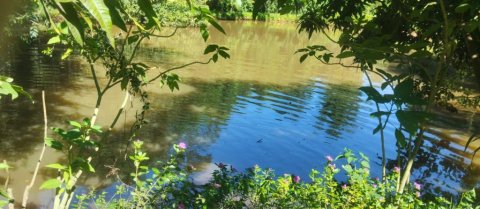 Área de Terra Linha Agua Verde Quatro Pontes