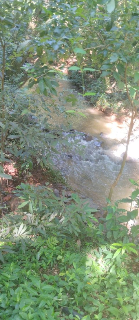Área de Terra Linha Agua Verde Quatro Pontes
