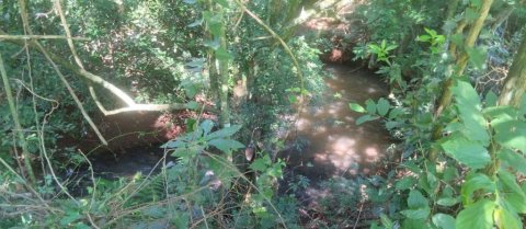 Área de Terra Linha Agua Verde Quatro Pontes