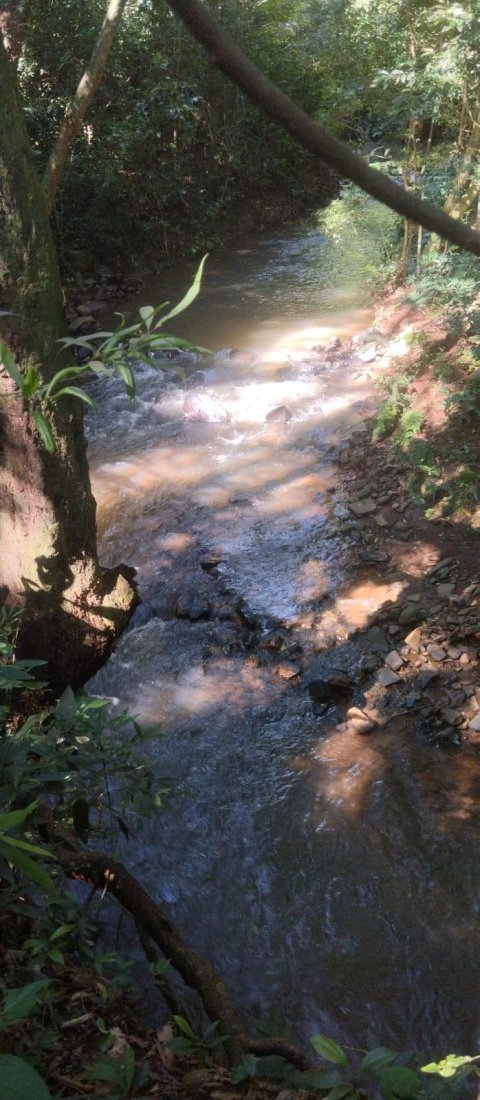 Área de Terra Linha Agua Verde Quatro Pontes