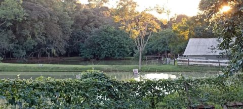 Chácara à Venda em Nova Santa Rosa - PR