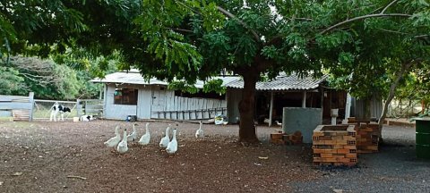 Chácara à Venda em Nova Santa Rosa - PR