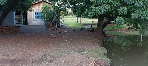 Chácara à Venda em Nova Santa Rosa - PR