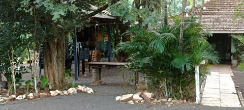 Chácara à Venda em Nova Santa Rosa - PR
