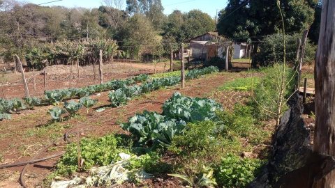 Chacara à Venda na Linha Arara