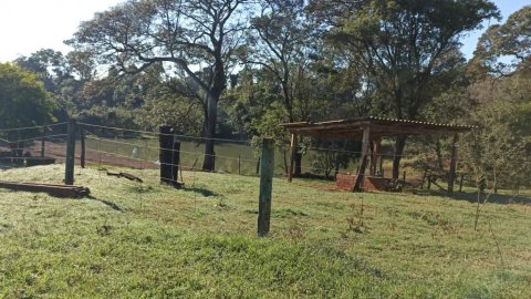 Chácara à Venda no Distrito de Novo Sarandi