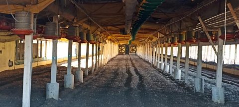 Chácara à Venda no Distrito de Novo Sarandi