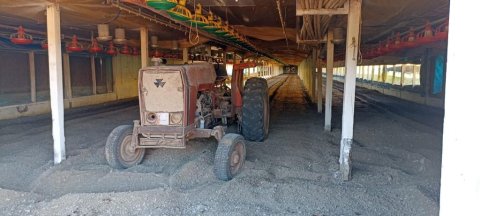 Chácara à Venda no Distrito de Novo Sarandi
